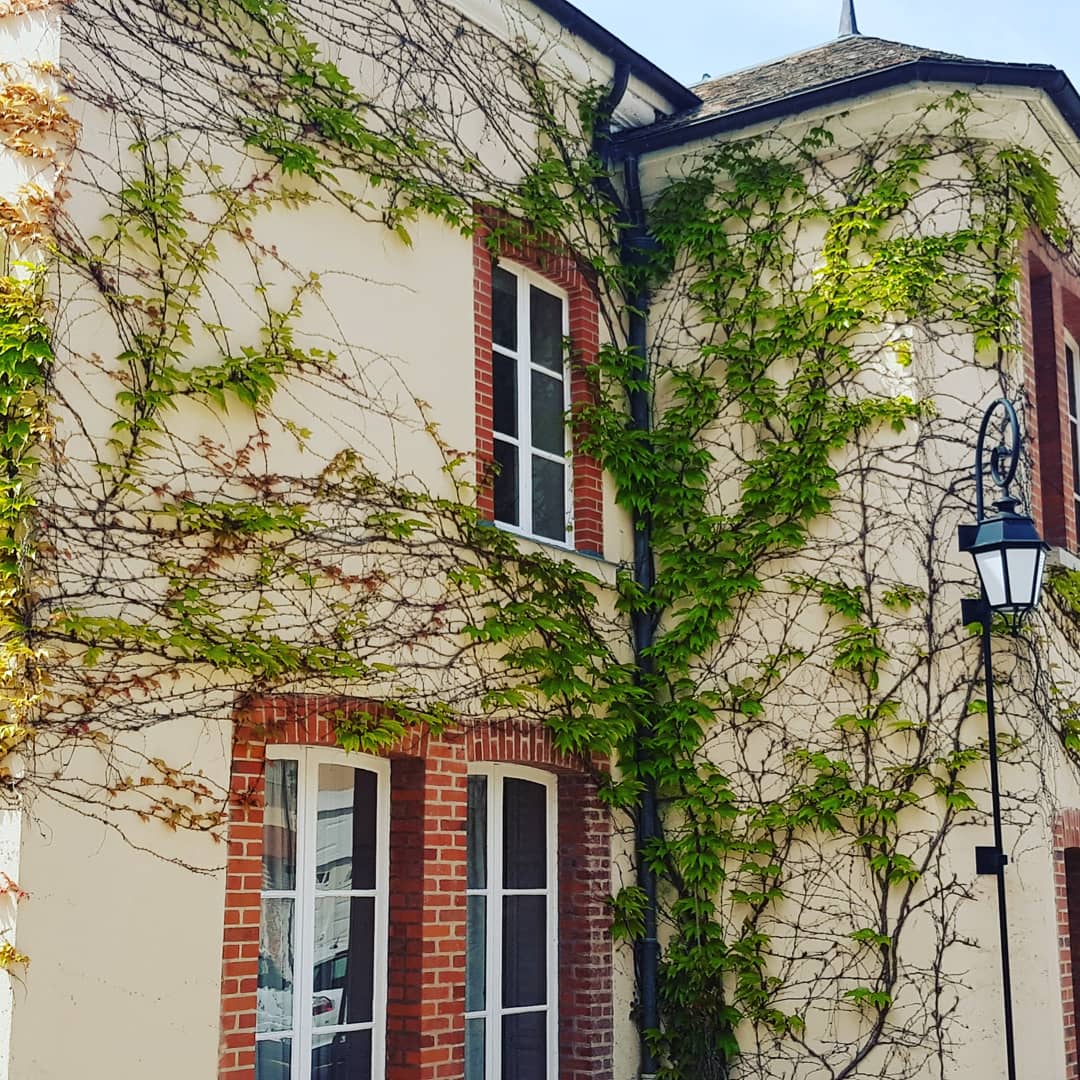 bestoffrance's tweet photo. Champagne tour from Paris... Lively rosé, lively place #Champagnetrip
#Champagnedaytour
#Champagnetourfromparis
#Privatechampagnetour https://t.co/jNdZLjo1gd