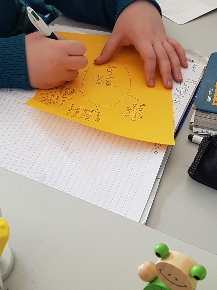 stpaulsgscience's tweet photo. Building from what you already know ! Students working together to describe the menstrual cycle. #miniwhiteboard #sharingknowledge #reproduction https://t.co/Jvj2K6QRbb