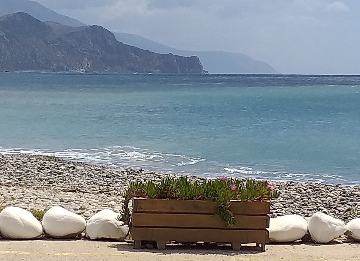 Cretan Chambers tweet media