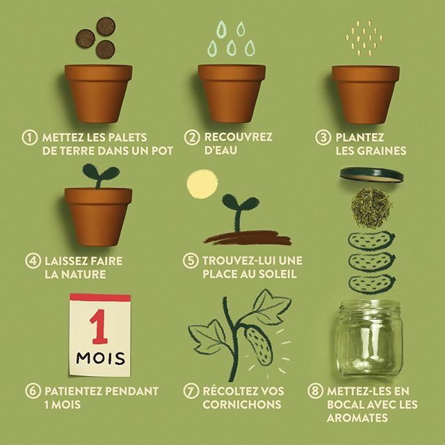 JARDINDORANTE's tweet photo. Parce qu'un gourmand apprenti jardinier ne connait pas tout, voici le genre de question qu'il peut être amené à se poser : 
Comment récolter mes cornichons ?

Pas d'inquiétude, pour résoudre ce genre d'interrogation on a pensé à tout. Voici donc la démar… https://t.co/b2xxTE5Hk2 https://t.co/1uLoaofkMf