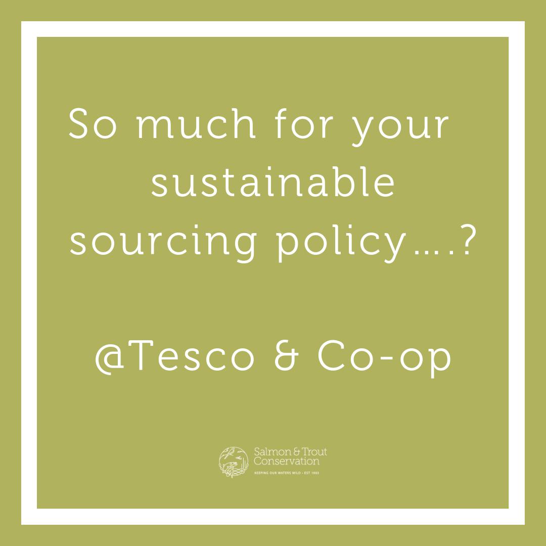 WildFishCons's tweet photo. Profitable parasites?

Do customers at Tesco and Co-op know they're buying farmed salmon from Leinish farm, where sea lice numbers were five times over the industry's code of good practice threshold in February, and six times over in March? https://t.co/qo3cu9q8jM