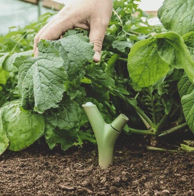 Interested in Citizen Science?
Tomorrow, Weds 8 May, 6.30 -8pm <a href="/growobservatory/">GROW Observatory</a> visit to explain how they are bringing together communities of growers, sensors &amp; data to better understand how to manage soil &amp; grow food + how you can too! FREE! Book now. steamhouse.org.uk/events/making-…