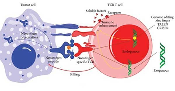 Cancer__therapy tweet picture