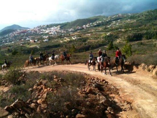 Time to Saddle Up! whalenationblog.wordpress.com/2019/05/07/tim…