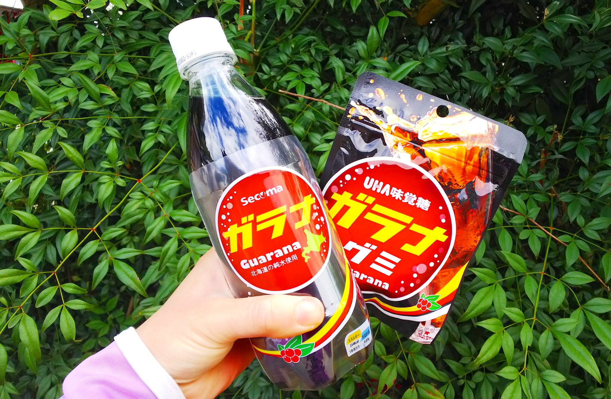あらみか グミ垢 セコマでガラナグミ発見 ガラナ味を忠実に再現していてめっちゃおいしい このすっぱさがたまらない 日本グミ協会 セコマ セイコーマート T Co Cnwk5avbzp Twitter