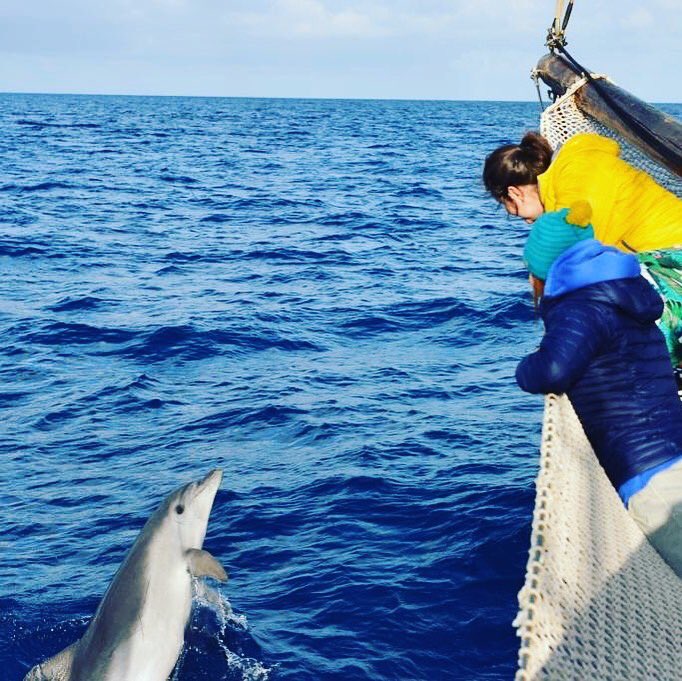 If dolphins are a good omen then our season is going to be great! A pod of six large bottlenose dolphins joined us at the bow of the Toftevaag for an hour yesterday. Who says Monday are dull? #marinemammals #conservation #sailing #mediterraneansea #dolphins 📷 by Anna Suter 🐋🌊