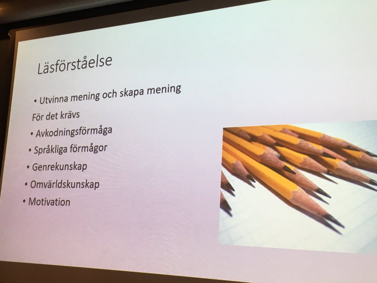 EvaSelin1's tweet photo. Vad krävs för läsförståelse? @SheikhiKarin på #språkutveckling #gothiafortbild https://t.co/t4GrIdTEfS