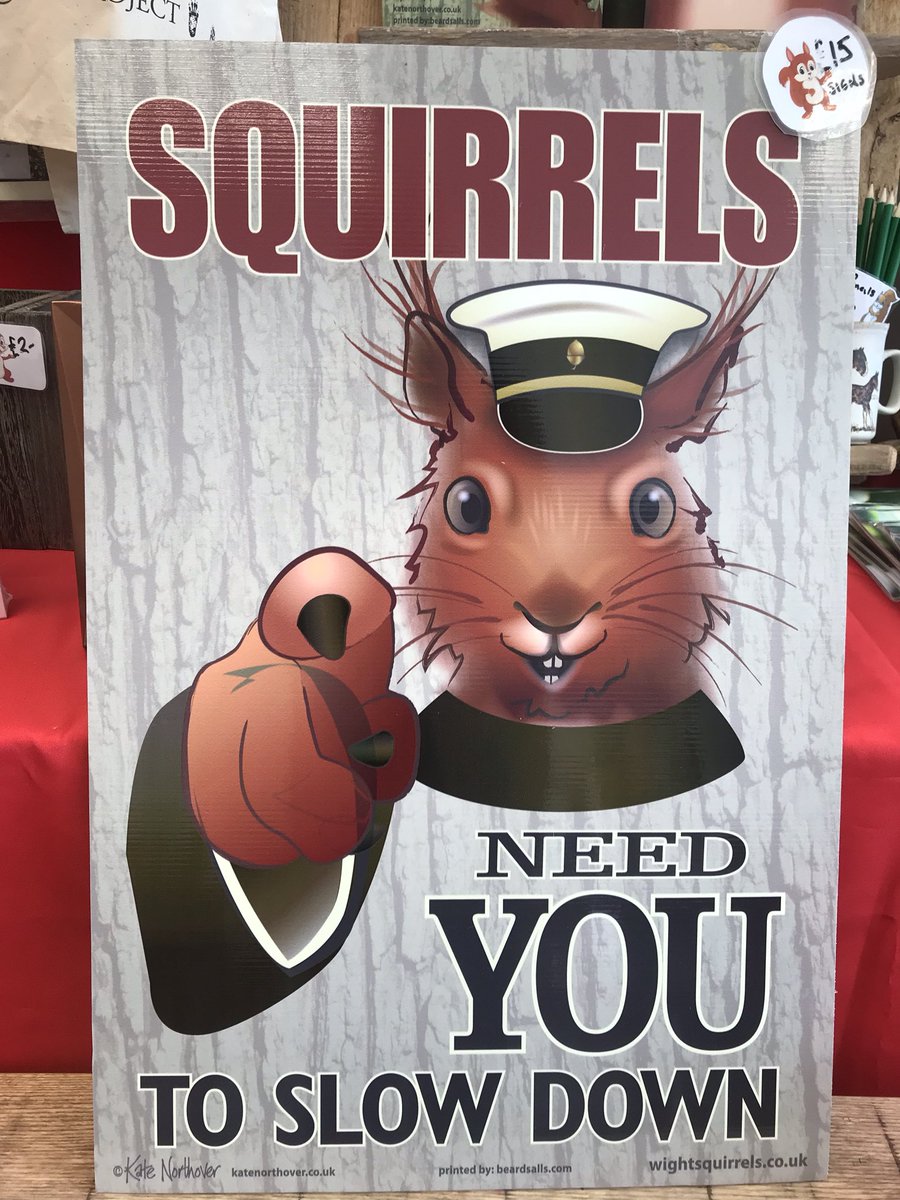 BushySquirrel's tweet photo. @BBCRadio2 @theJeremyVine We are a national stronghold for beautiful red squirrels here on the Isle of Wight. Another good reason to visit the Island. https://t.co/Ct03c2FEla