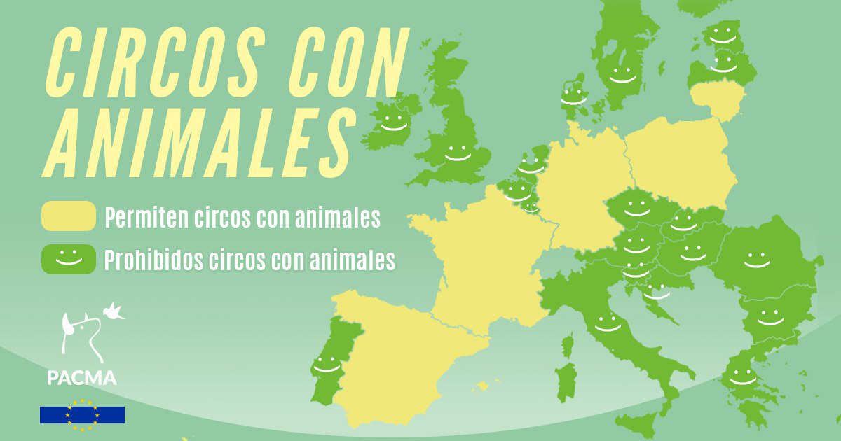 🗺️ Más de la mitad de los países de la UE han prohibido el uso de animales en circos 🚫🎪🐘

La falta de interés y de valentía política para prohibirlos, condena a muchos animales a vivir una vida de látigos y cadenas.

Desde PACMA trabajamos para prohibir los circos con animales
