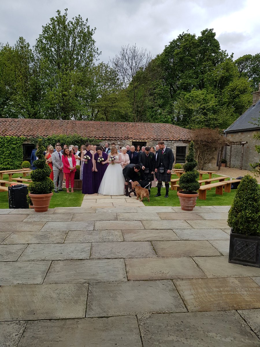 HumanistLucy's tweet photo. Saturday's wedding at Windmill Barn, a fantastic venue.

Andy and Cailtynn were married in the courtyard, in front of their friends and family and their 2 doggies brought the rings down the aisle.

They shared their 3 Reasons and drank whisky from the Quaich 🤩😍
@FuzeCeremonies https://t.co/IvJEpQt2GQ