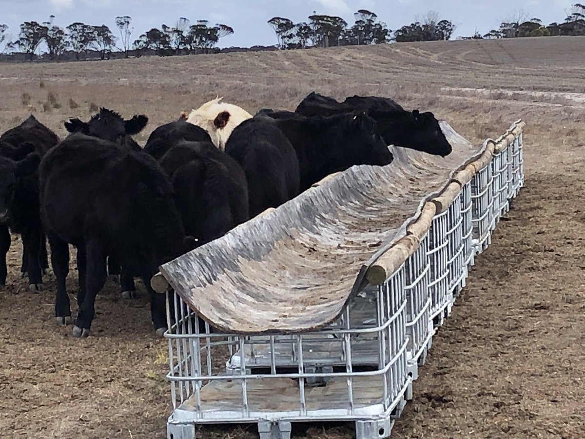JohnHarding1963's tweet photo. #ibcchallenge made for feeding crimped barley. https://t.co/UFrhlCeH0H