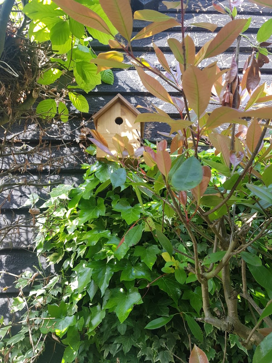 🐥 A few months ago, our clients were given bird boxes for the Spring/Summer time to help with nesting. With Summer fast approaching they have been put up in our clients homes around the area! Another way we are determined to help the environment flourish 🌍 

#YourCareYourWay