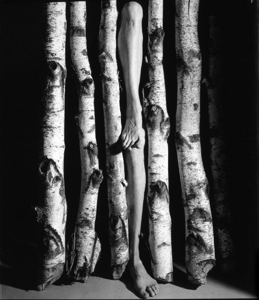 Enkster_'s tweet photo. Un senso di libertà e sintonia rafforzato dalla profonda affinità che #RafaelMinkkinen nutre nei confronti del #paesaggio.

Il corpo umano si trasforma in un inno alla #bellezza in senso assoluto fondendosi completamente con il paesaggio circostante.

https://t.co/8eSE05Q5d7 https://t.co/TBxUtv75tX