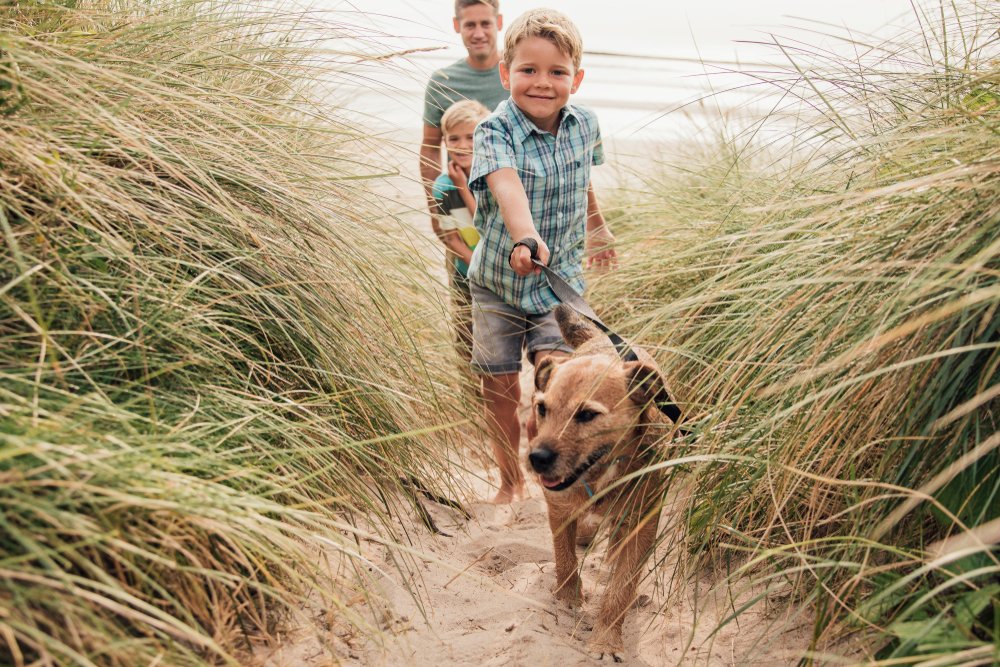 JS_Hotels's tweet photo. Familienurlaub? Ja! Sie können auch Ihren Hund mitbringen und eine tolle Zeit in unserem #JSCanPicafort verbringen https://t.co/aUJhGr005t