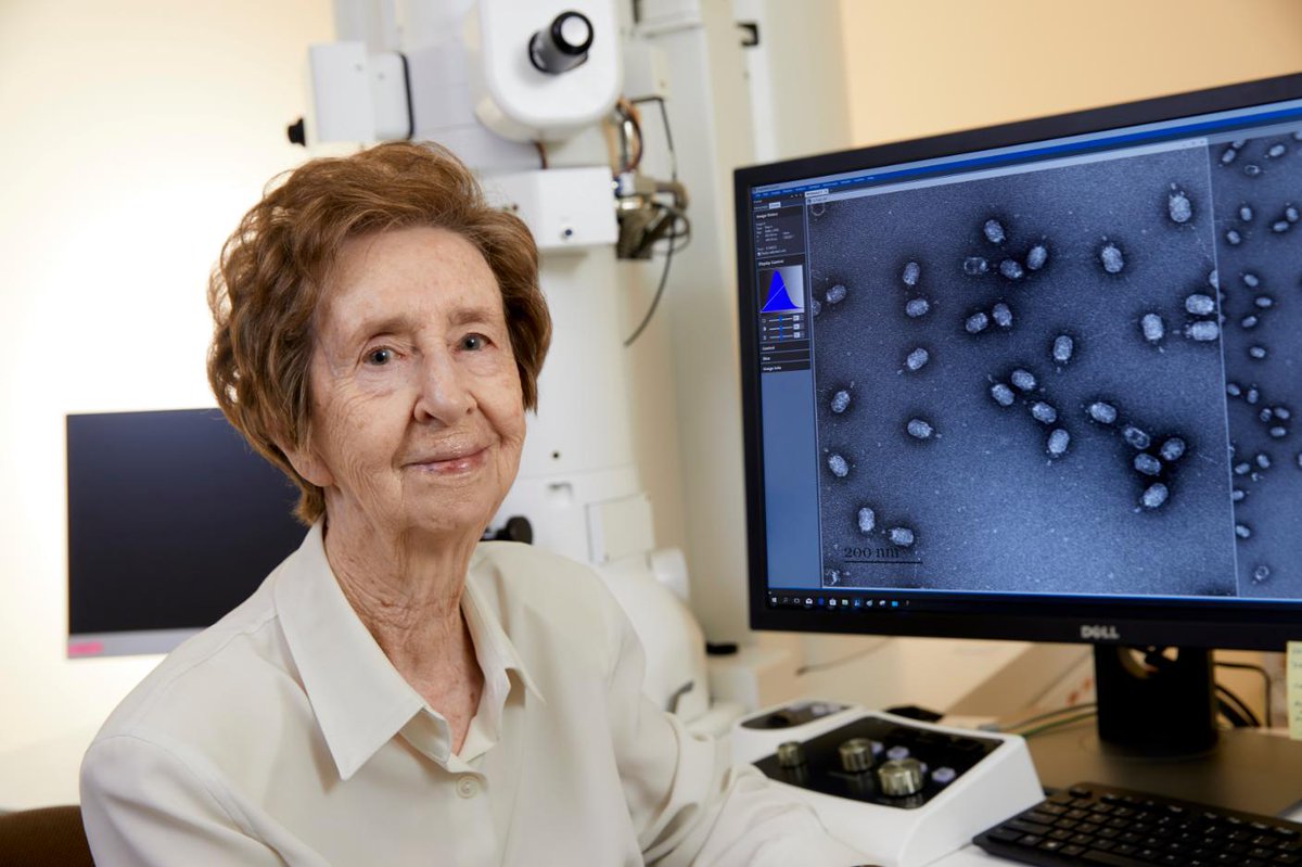 La prestigiosa científica española, Margarita Salas Falgueras,  ha sido nominada al Premio del Inventor Europeo 2019 cómo reconocimiento a toda una vida, #patentes, #InventorAward <a href="/EPOorg/">EuropeanPatentOffice</a> 
oepm.es/es/sobre_oepm/…