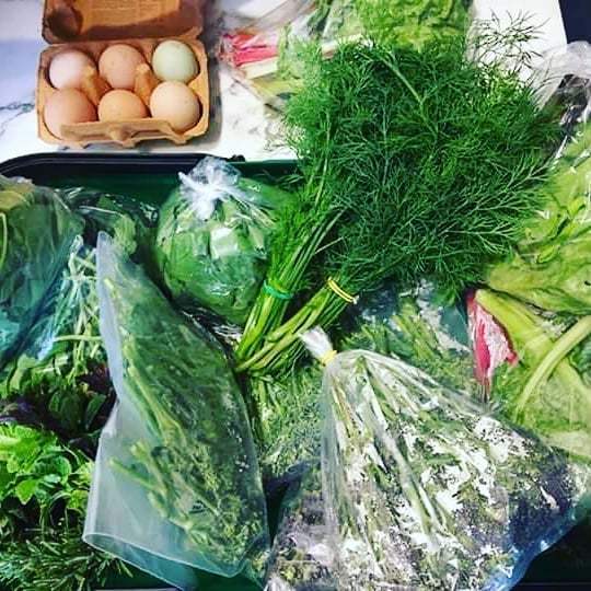 NottsFoodAssemb's tweet photo. Produce featured here is from the weekly surplus table that runs in conjunction with the @neighbourfoodnotts click and collect (there's deliveries too within a 6km radius of @weareprimary . 
Want to browse over 400 local food products here's how:
https://t.co/TORzncCdVw.

Sh… https://t.co/Z2VWd5kTIi