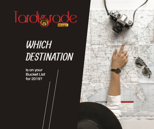 BagsTardigrade's tweet photo. Are you ready for your next destination?
#TardigradeBag #Bags #FireproofBag #FireResistantBag #WaterResistantBag #InnovativeBags #TravelBag #SafeBag #TardiBags #Amz #Tardigrade https://t.co/ZbQuzG2W6P