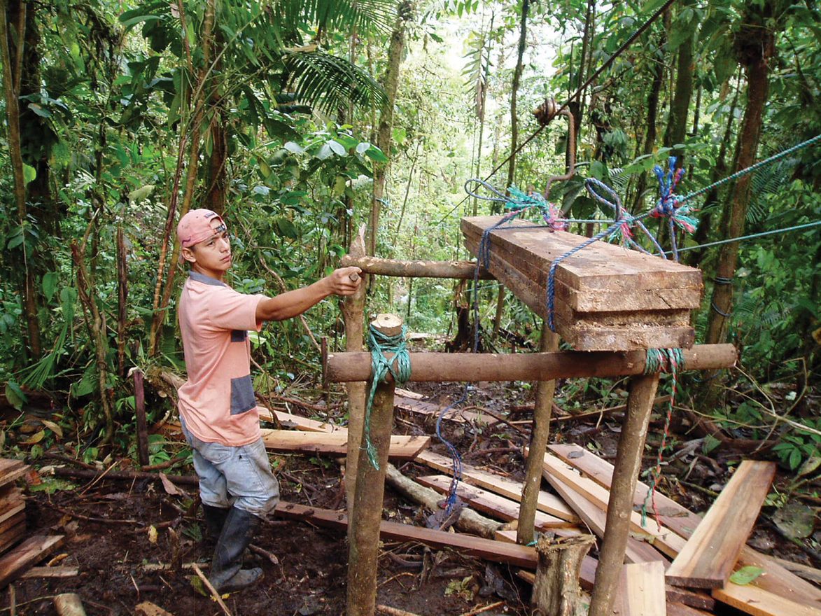RevolveMediaCo's tweet photo. How will we reinvent our relationship to the world's forests? π²π³π²π³π²
A look at some of the answers in REVOLVE β»οΈ https://t.co/R5c5lYX8O3
#futureforestwork
#Cities4Forests
#UFGC19 https://t.co/sRLtGjPYCB