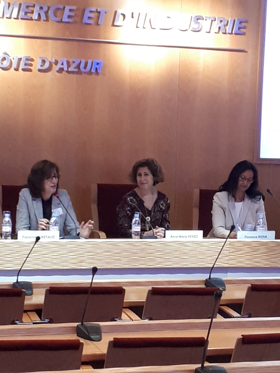 WIT_France's tweet photo. Une soirée rythmée par la symbiose des entités Club SmartGrids Côte d'Azur / Envirobat BDM / #Capenergies ! https://t.co/mtYJ3BjOPL