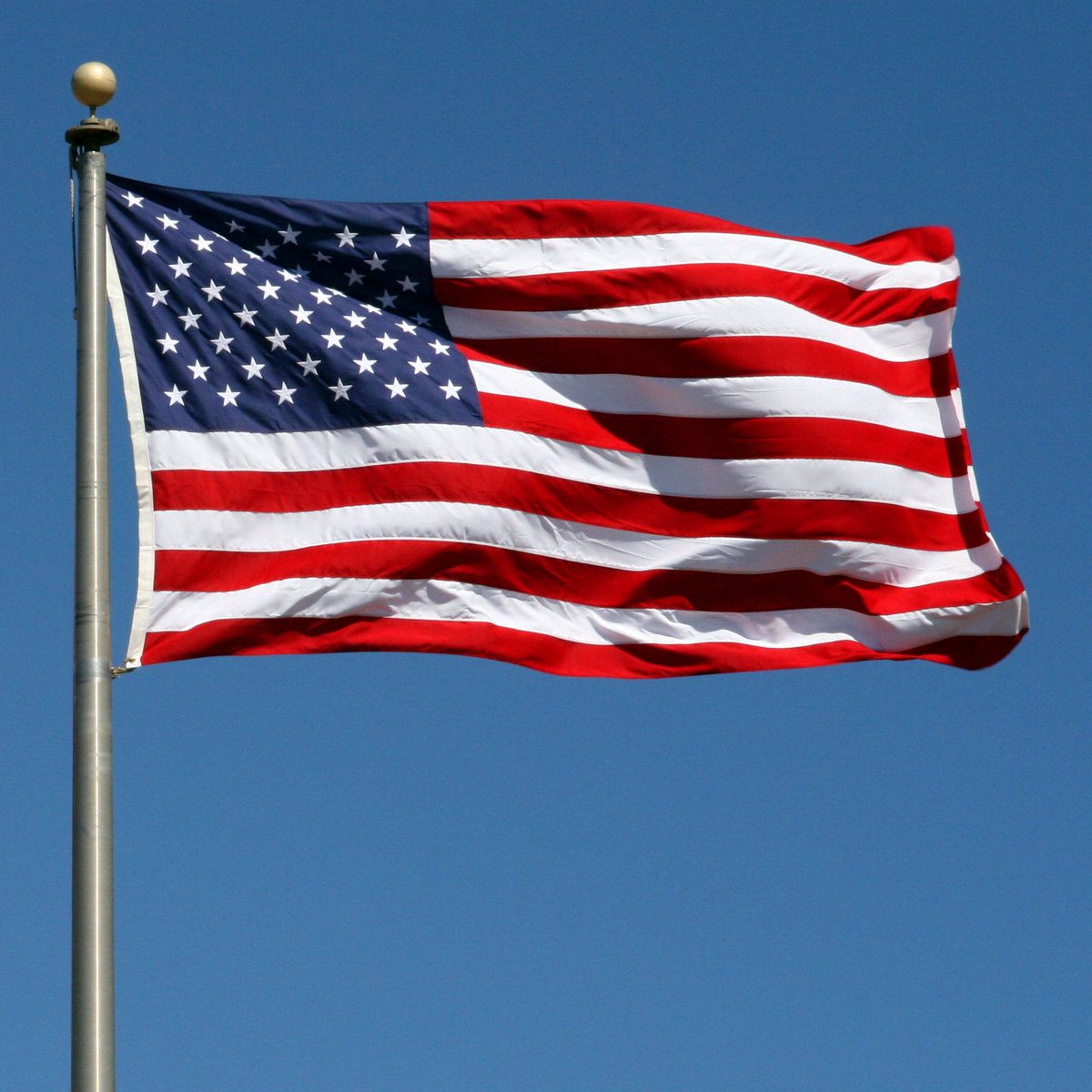 RDSdiamondblade's tweet photo. MADE IN AMERICA- Spring Special!! 14" x .125 general purpose diamond blades just $78.00 each. FREE SHIPPING with $500 order. Call 800-484-0452 for other specials. https://t.co/SneKXKCZbM
