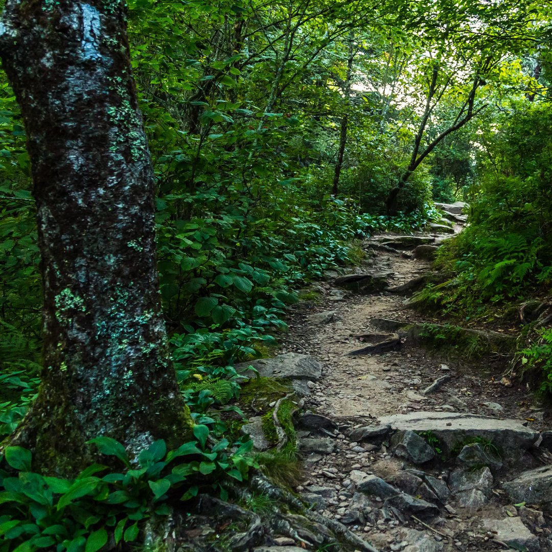 Summit Park Apts on Twitter "It’s time to get outside Summit Park