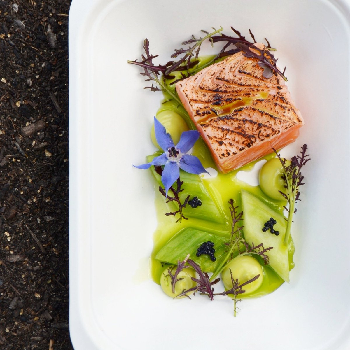 Seed To Feed tweet media