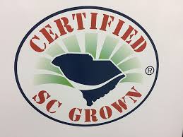Gotschoollunch's tweet photo. Thousands of pounds of @Certified_SC collards were part of school lunch today. And they will be on our Summer Menu once a week! @WPRawl  #schoollunch https://t.co/5zs5CSJFOw