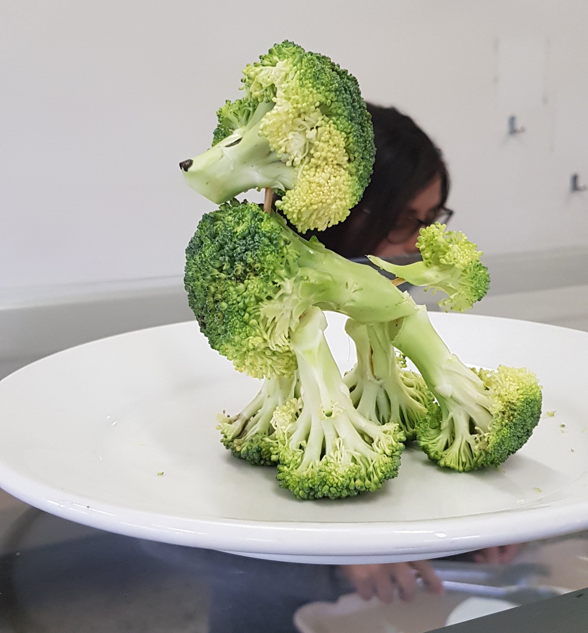 Звери из брокколи