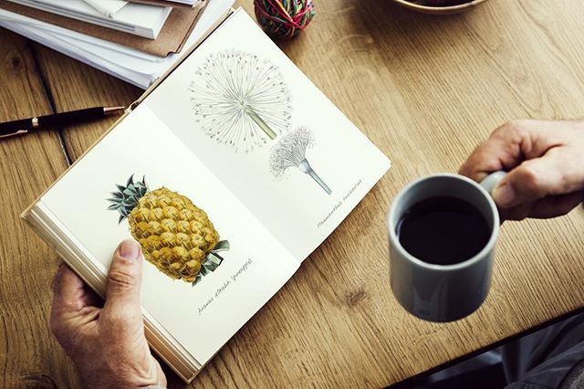 coffeisseur's tweet photo. I have a pen, I have a pineapple 🎶☕️
#ppap #pineapple #pen https://t.co/2Ih8Gt7MC2