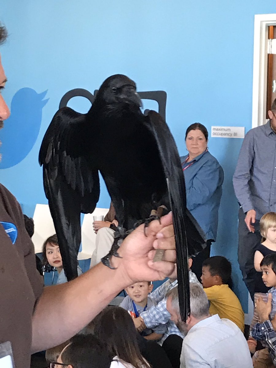Go/hraven for real! Never expected <a href="/joep/">Joep R.</a> to send out a real Raven to alert us about the HDFS quota usage. #BYKTWD #TwitterKids