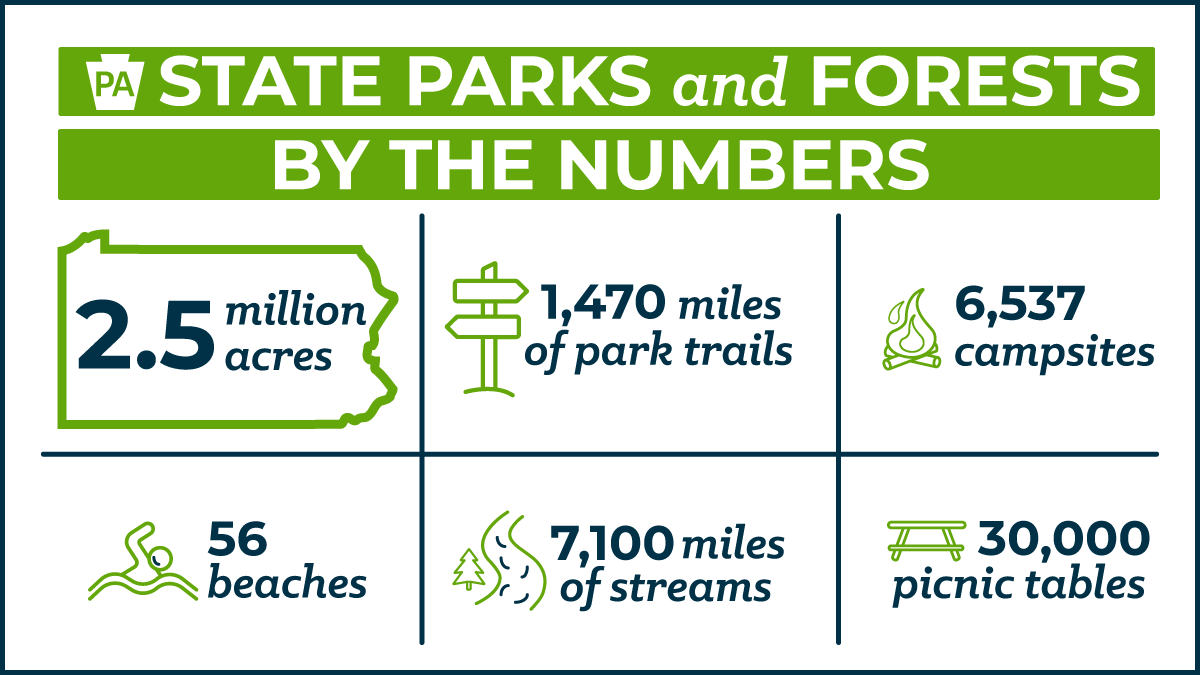State parks and forests by the numbers.