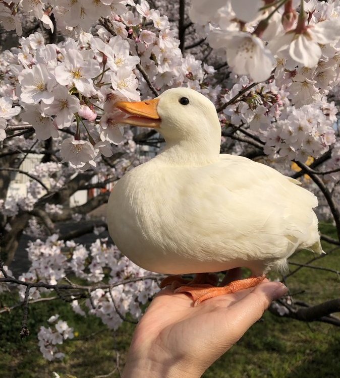 DolanDark's tweet image. Men online vs IRL 😂😂😂
Stay safe girls