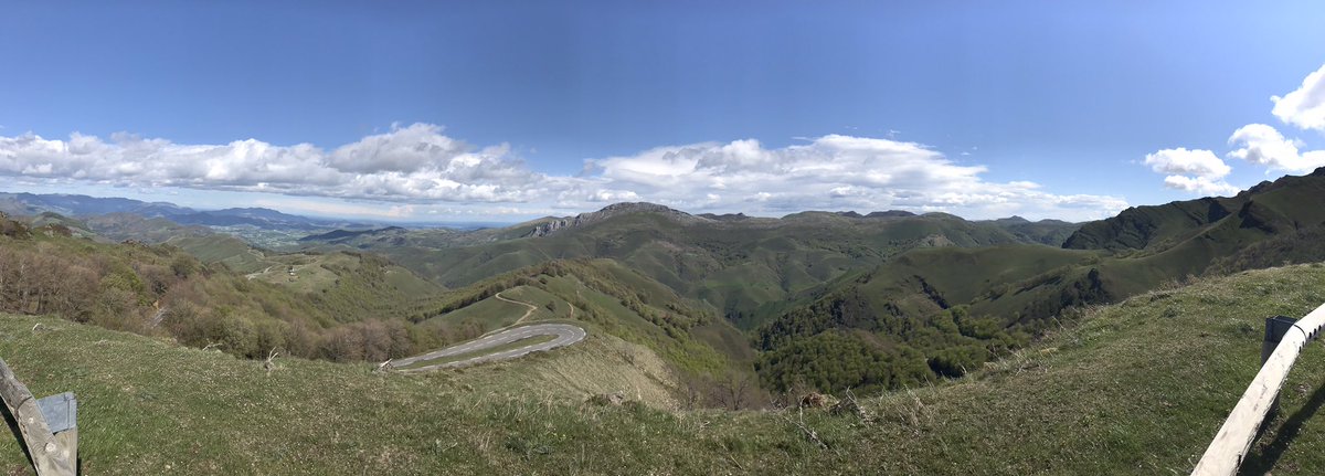 RobiPoly tweet media