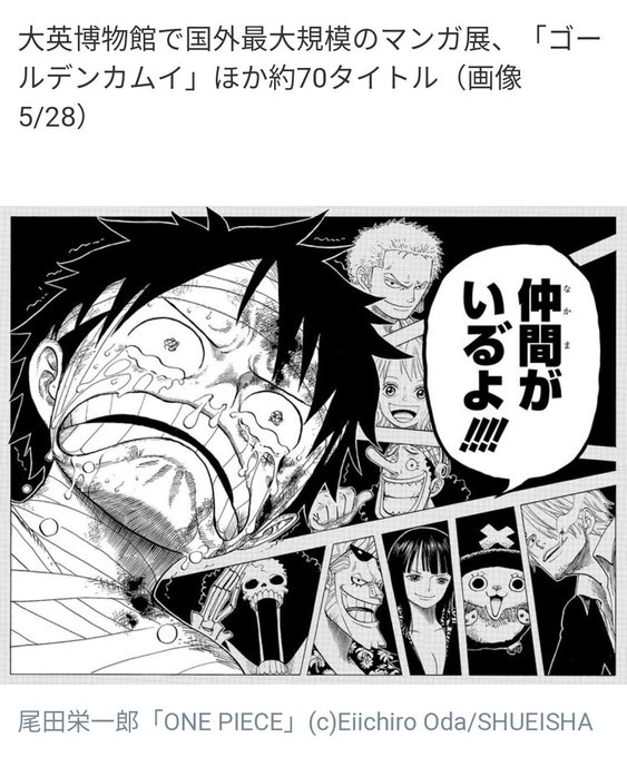 One Pieceが大好きな神木 スーパーカミキカンデ Onepiece Kun さんのマンガ一覧 10ページ ツイコミ 仮