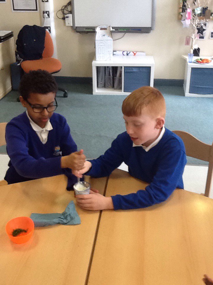 The Harbour tweet media