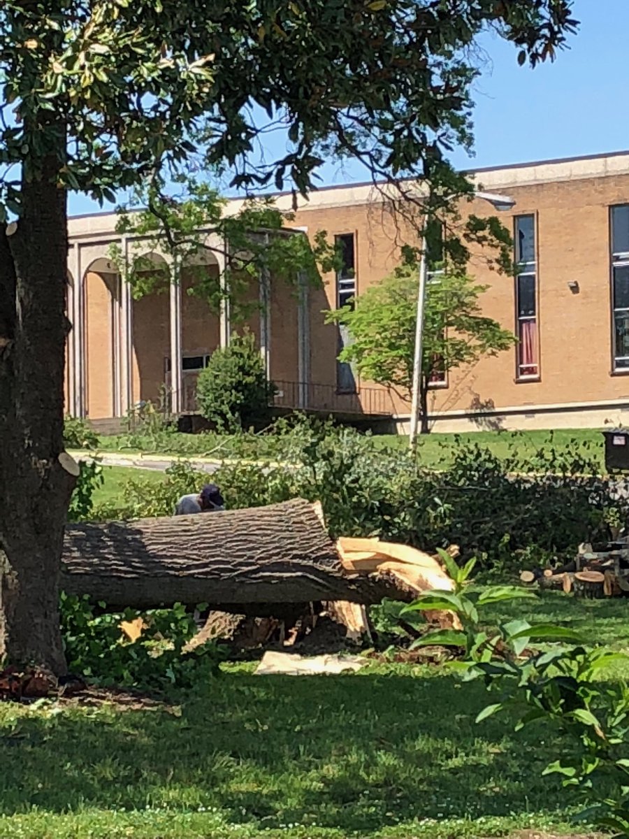 rebecca_domina's tweet image. The beautiful old trees that graced the campus have been cut down. Others have been denuded. The squirrels have gone. All that’s left are boarded up buildings with broken windows. So sad. #knoxvillecollege