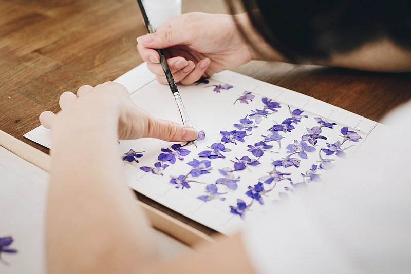 MagaliC_Photo's tweet photo. Shooting des coulisses de Herbarium 📷🌿 https://t.co/qsdQSNyzxC
