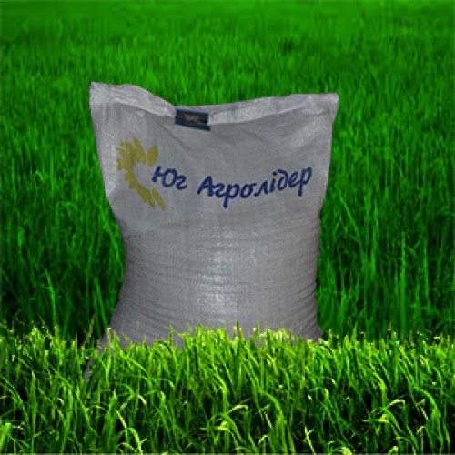 #югагролидер #семяподсолнуха Магазин Насіння expert сотрудничает с ЧП Юг Агролидер со дня их основания. Читайте подробнее о преимуществах семян подсолнуха от Юг Агролидер: expertseeds.com.ua/articles/yug-a…