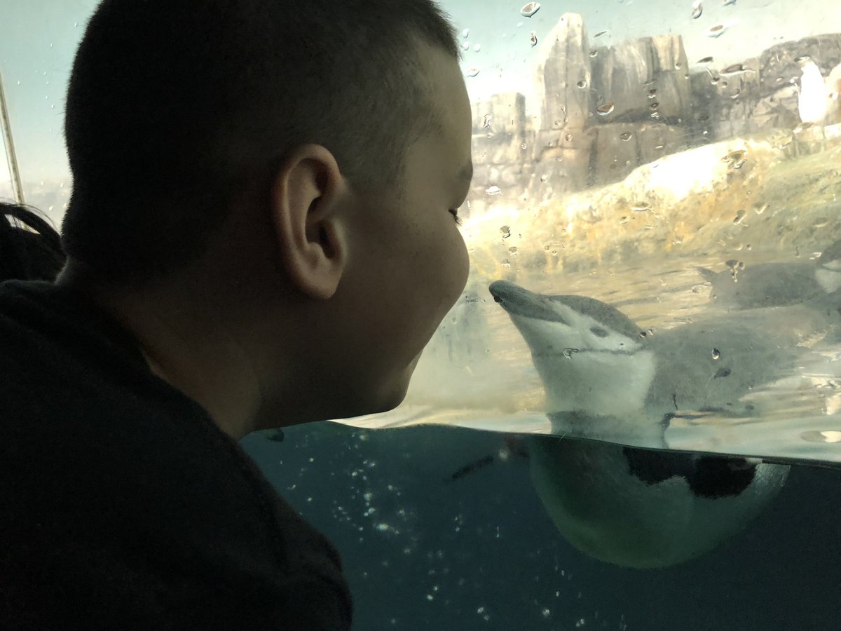 Nikki Diaz tweet media