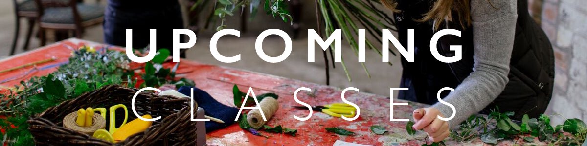 Check out our living wreaths at our shop, or come and learn to make one yourself at our school! #livingwreath #spring #edinburgh #flowers