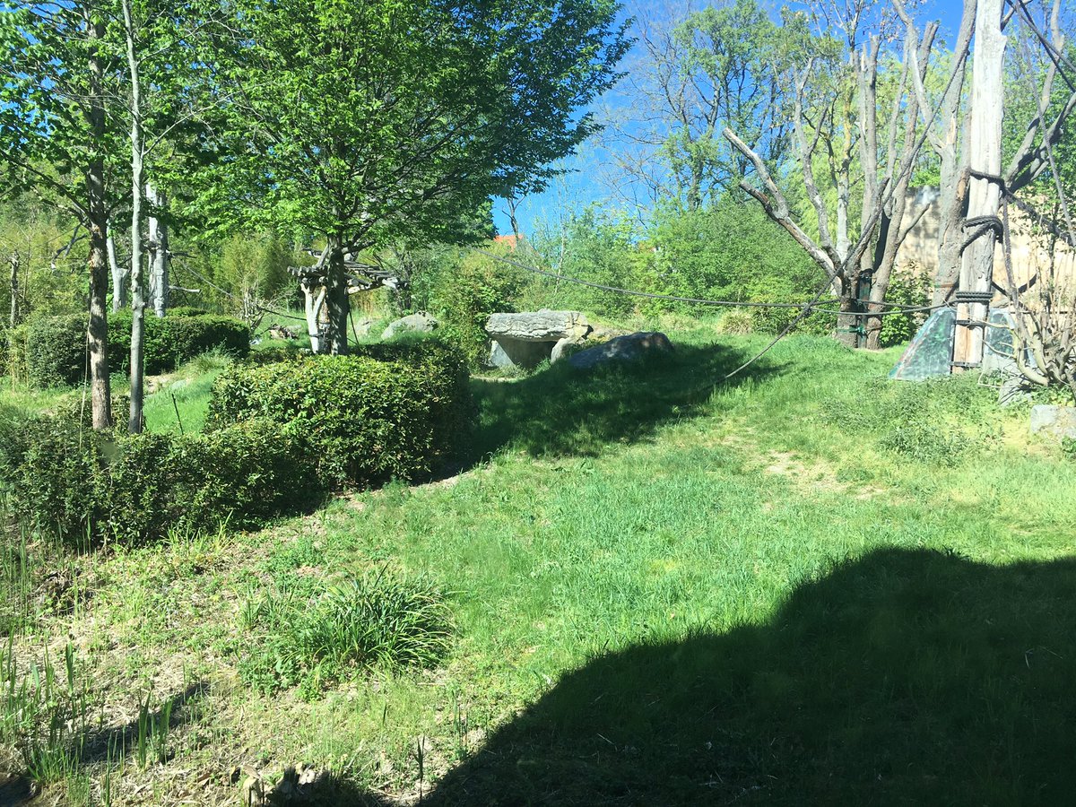 lemming_md's tweet photo. #ZooLeipzig #schöneLandschaft #kaumTiere #fakeZoo https://t.co/qQEbxLW3go