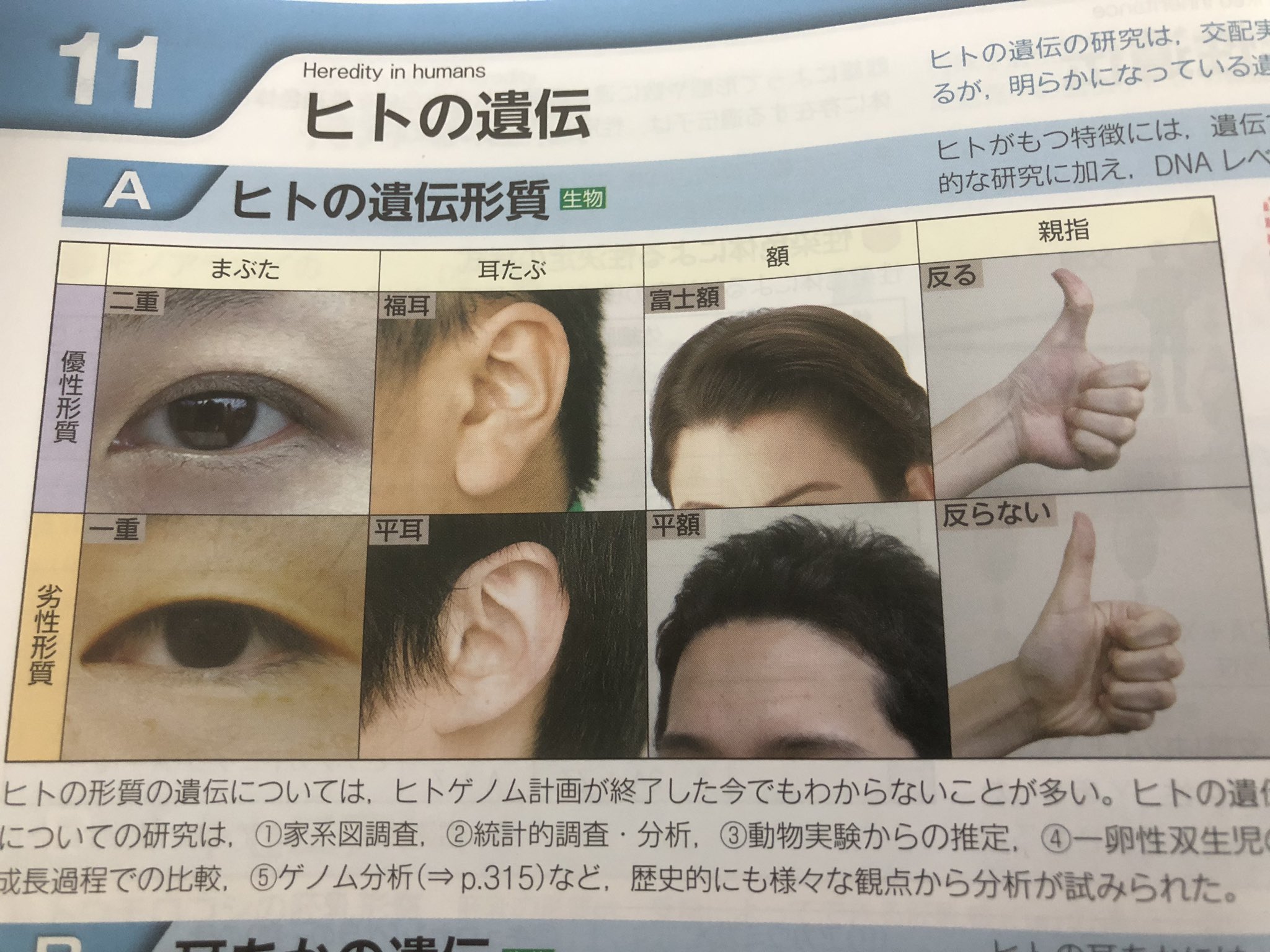 Twitter 上的 シ浪ナガスクジラ 一重って劣勢なんですね T Co Tfplgqfh1y Twitter