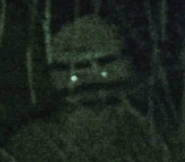 FilosofiaMderna's tweet image. Já buscou conhecimento hoje?