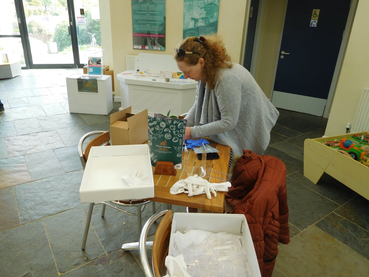 WhealMartyn's tweet photo. Get your gloves on! Here we are (carefully) unpacking our objects and organising them before they go on display. How's our object handling? #CitizenCurators #EngineeringTheEarth #StAwesome https://t.co/SuVP6tj9Ha