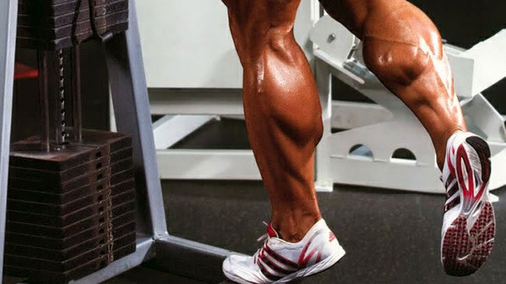calftraining tweet picture