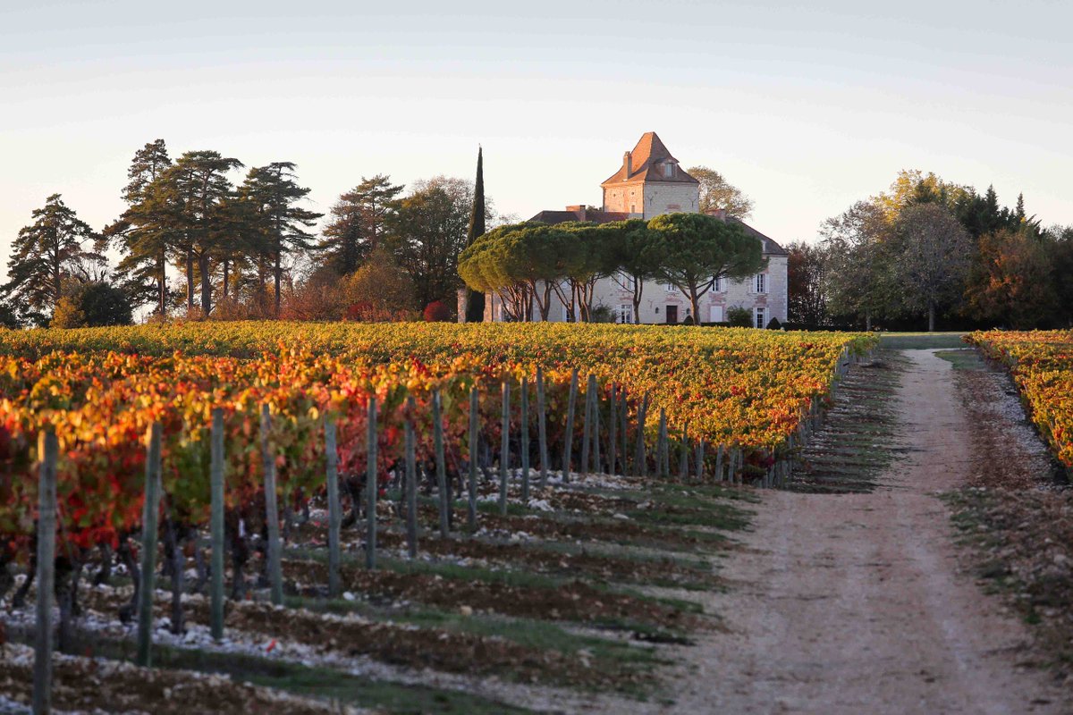ChateauHS's tweet photo. [Le saviez vous ?] Géron Dadine d’Hauteserre, conservateur du Saint Suaire, protégea la #SainteCoiffe à #Cahors durant les guerres de religion et la ramena au Château de Haute-Serre. @Cathedrale46000 @DiocesedeCahors #Jubile #900ans https://t.co/c9kzNYQQub