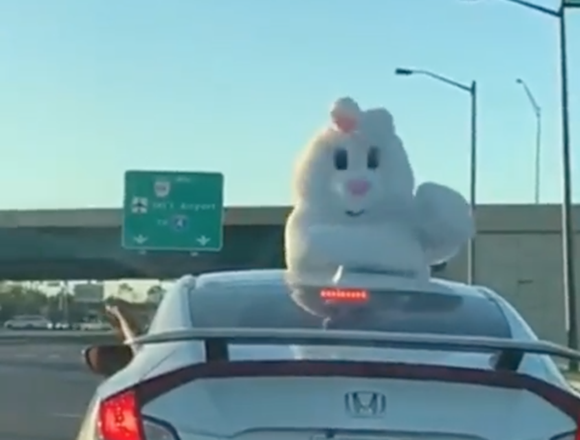 Alabamaworkcomp's tweet image. New from NomBlog: EASTER BUNNY GETS IN FIGHT- ANY WORKERS’ COMPENSATION COVERAGE? Is work comp coverage available for employees injured due to fighting with co-employees or if the employee is assaulted? 
nomberglaw.com/easter-bunny-g…
#ALworkcomp