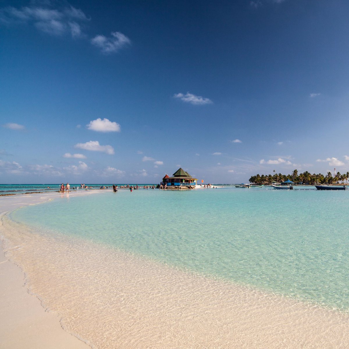 resortlinejp's tweet photo. 「7色の海」サンアンドレス島をご紹介🌴
開発途中のリゾートというだけあり、白い砂浜に手つかずの自然が広がります☺️
「7色の海」とも呼ばれており、無数の珊瑚礁の影響により、深緑、エメラルドブルー、セルリアンブルー、ネイビーブルーなど、様々な色を持つことで有名🏝

#コロンビア https://t.co/BNBv2DNR9V