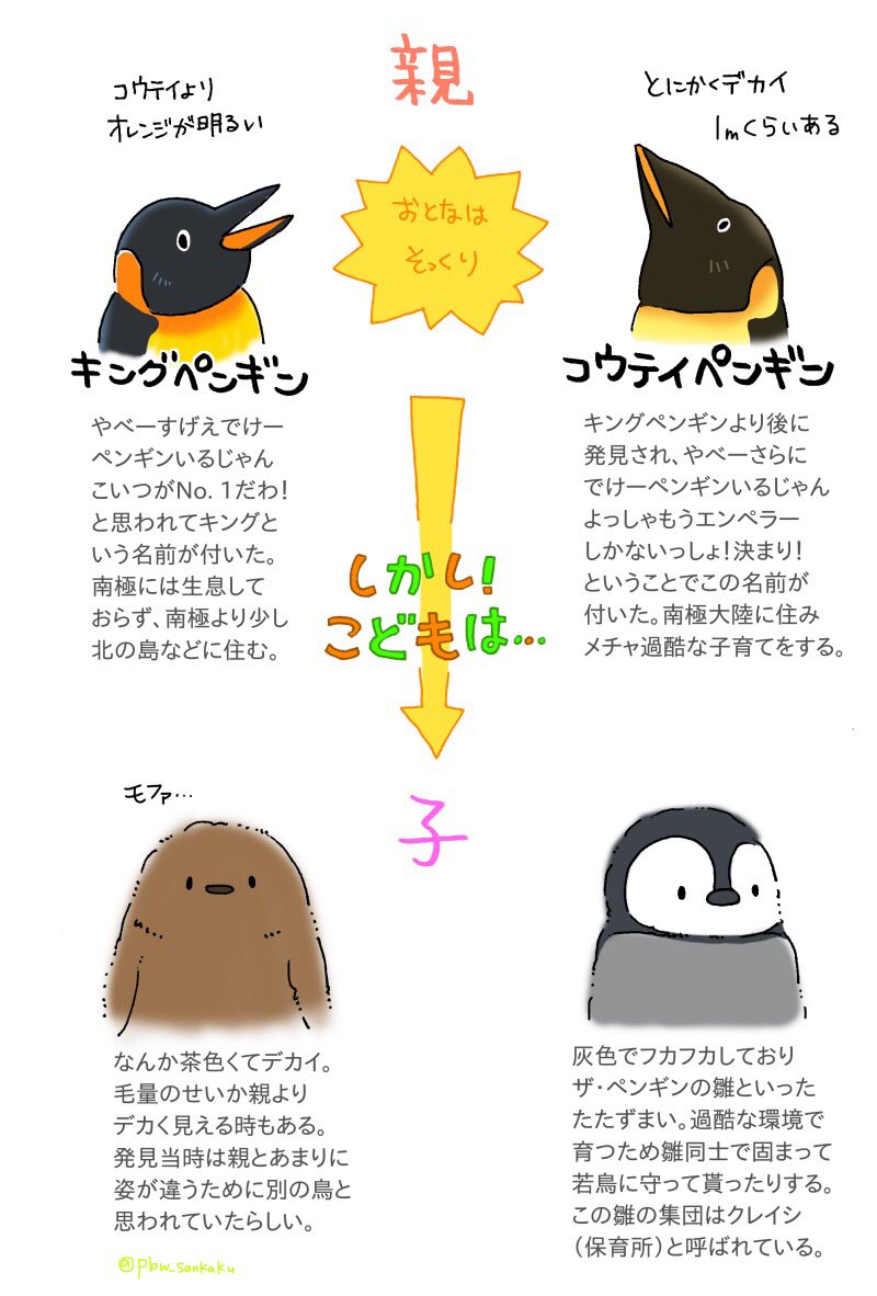 のんきなぺんぎん على تويتر 今日はペンギンの日なのでキングペンギンとコウテイペンギンの違いを描いた 世界ペンギンの日