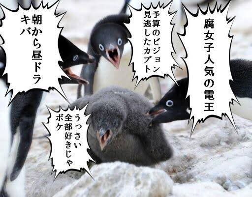 一時期流行った ペンギンコラ画像 元の写真は産経新聞のカメラマンさんが撮ったものだった お前だったのか Togetter